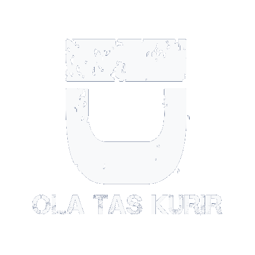 OLA Tas Kurir Solo